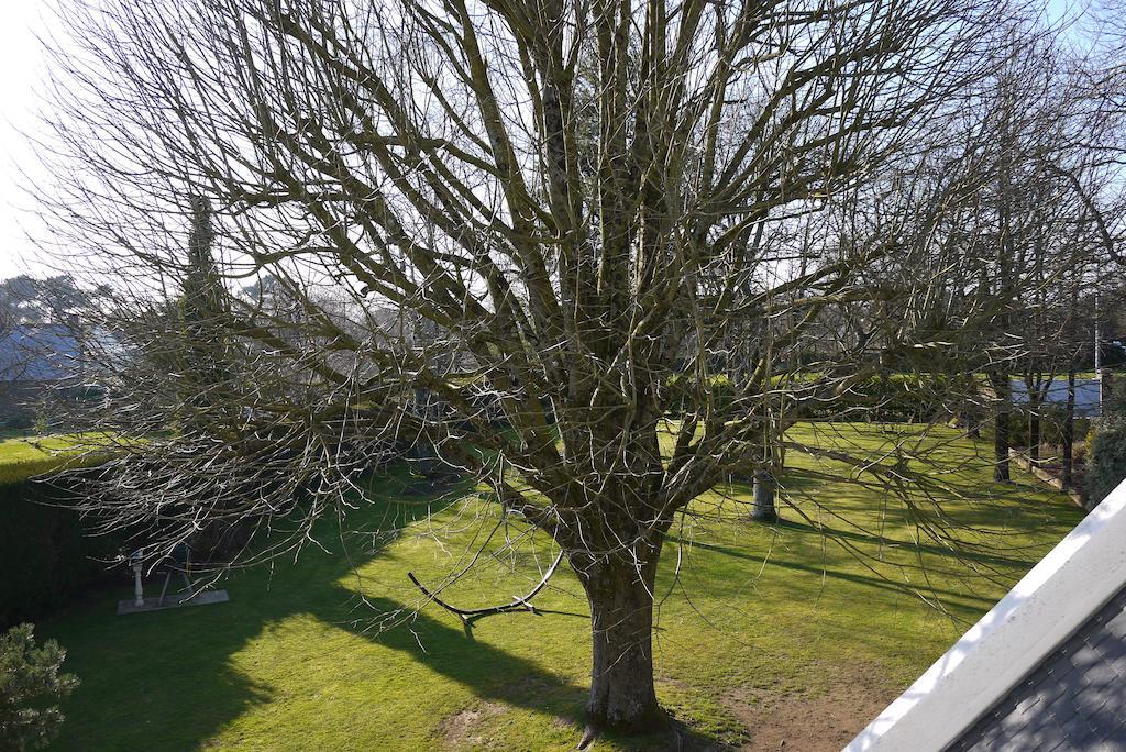 Le Clos De Kerhouil Saint Anne-dʼAuray Exteriér fotografie